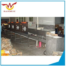 食品微波殺菌設(shè)備食品無憂